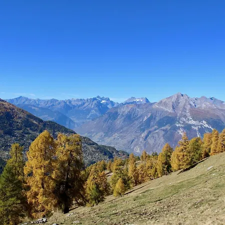 In Near Lift & Sauna *